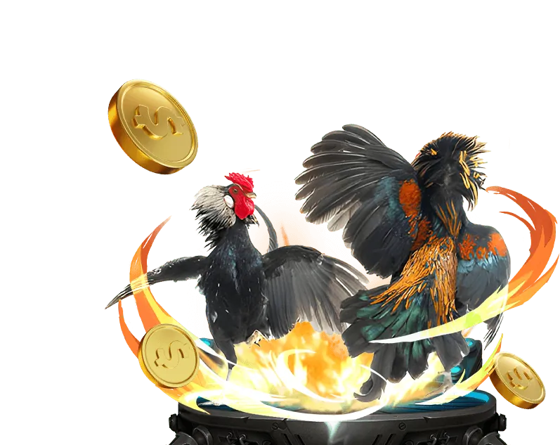 Đá gà Nòi tại 88â