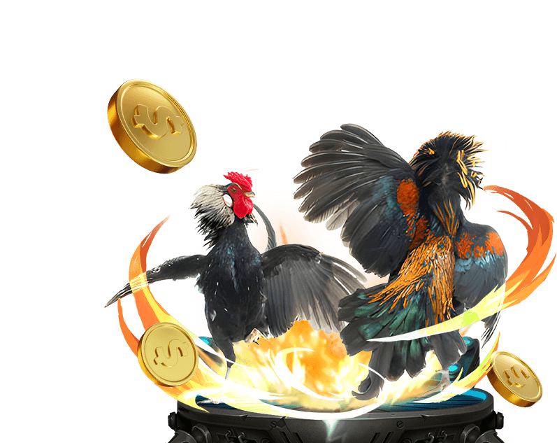 Đá gà Tre tại 88â