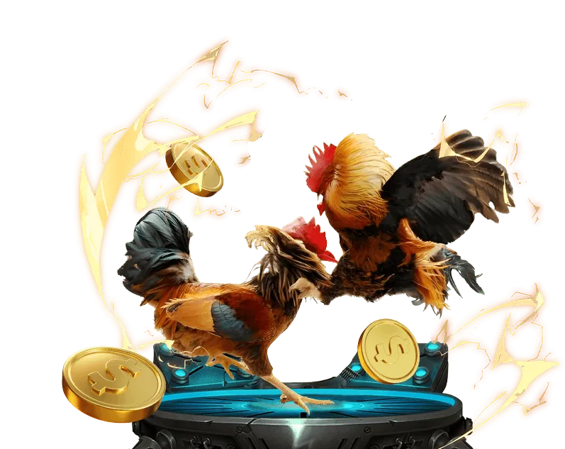 Đá gà Mỹ tại 88â